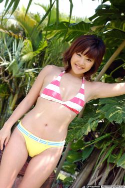 狐影电视剧